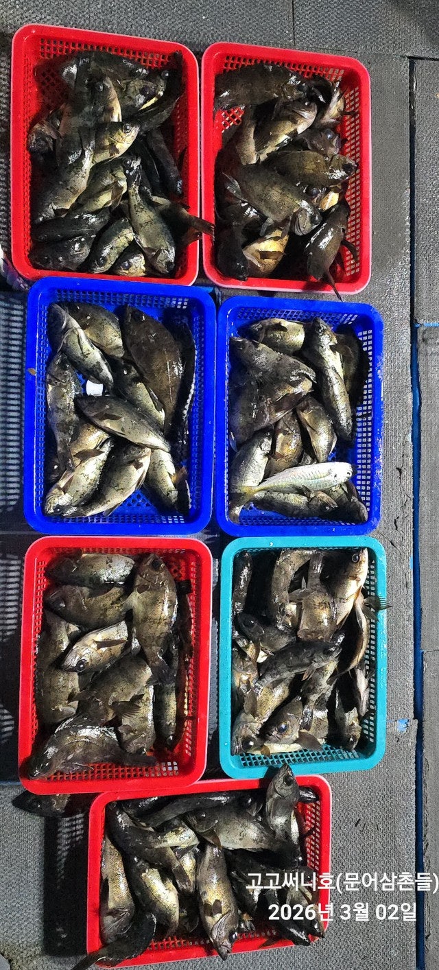 ����ڰ� �ø� �̹���