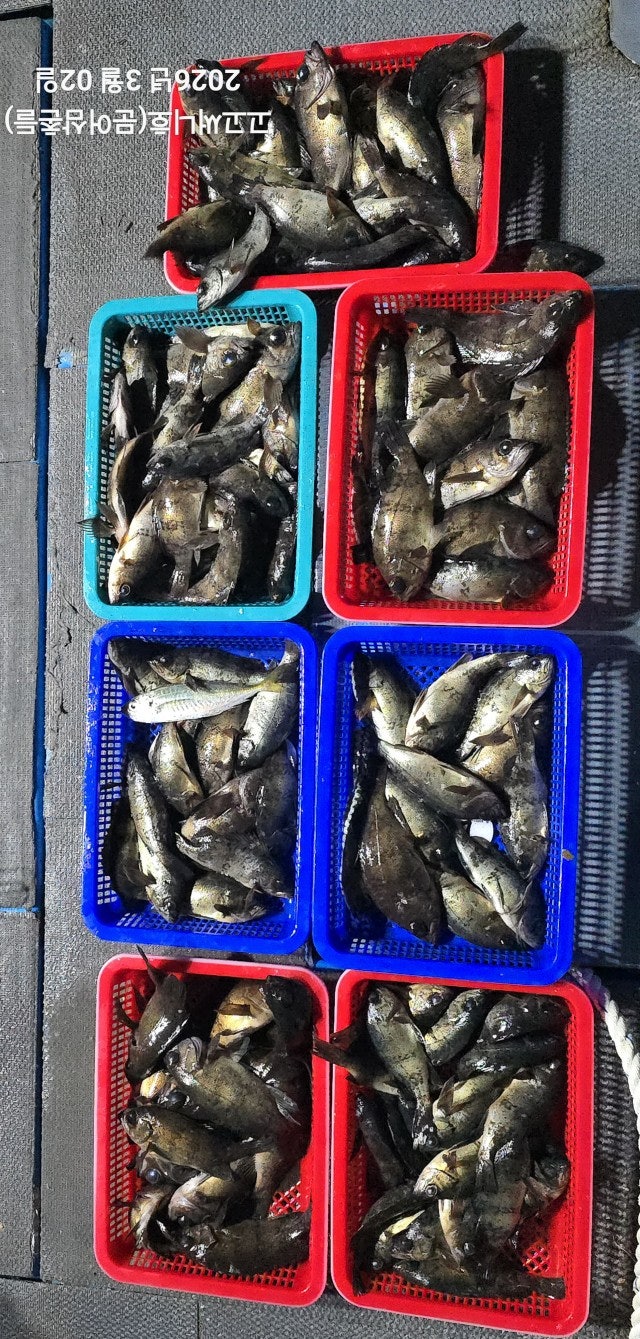 ����ڰ� �ø� �̹���