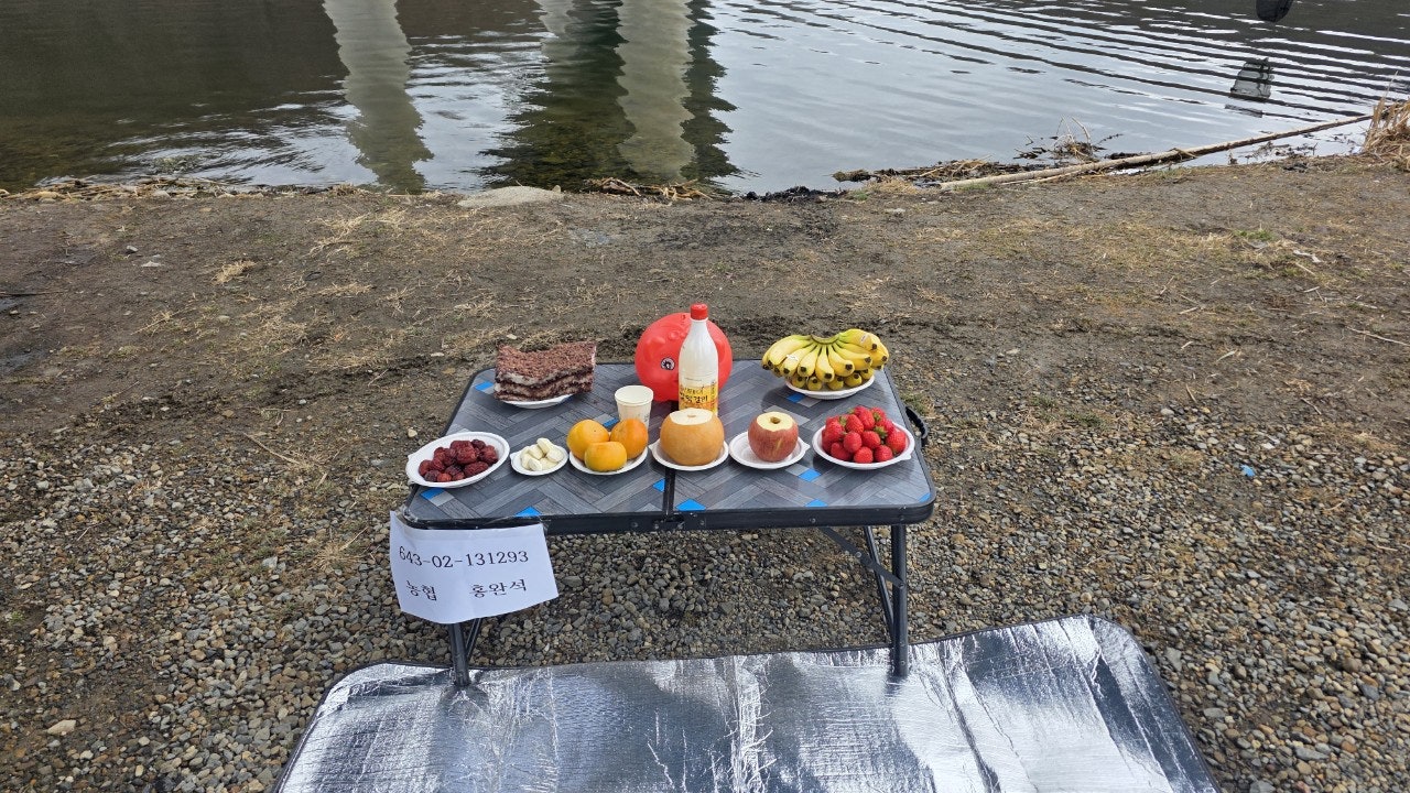 사용자가 올린 이미지