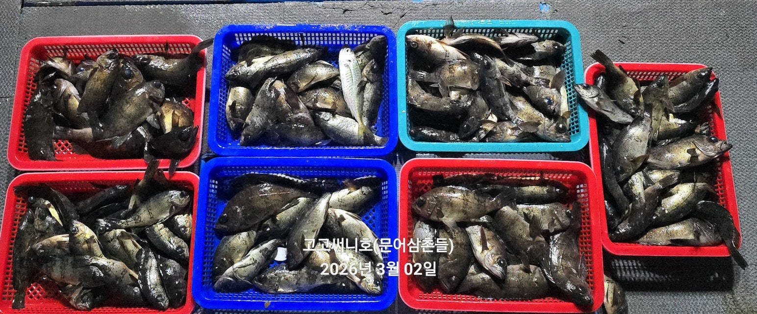 ����ڰ� �ø� �̹���