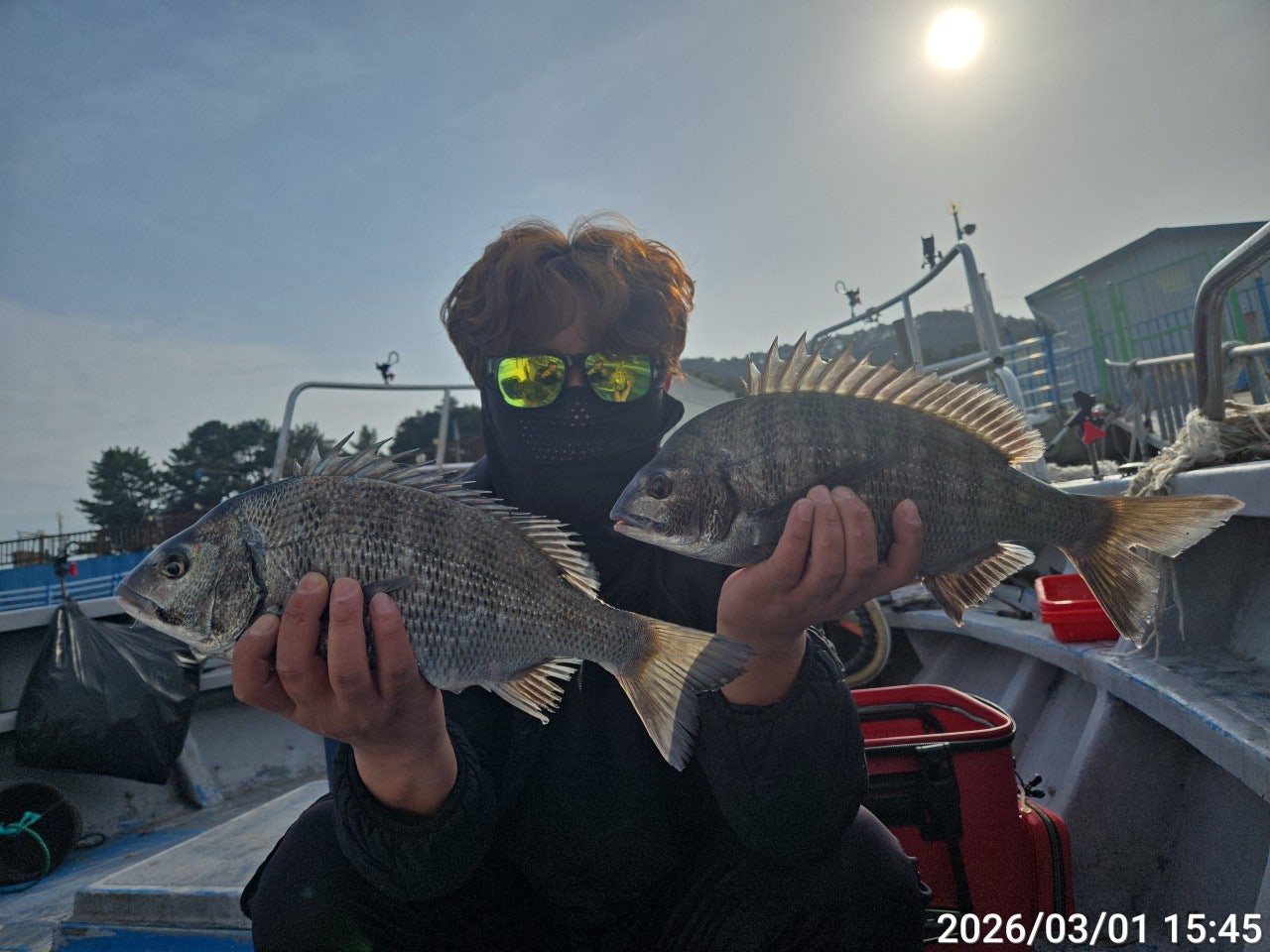 ����ڰ� �ø� �̹���