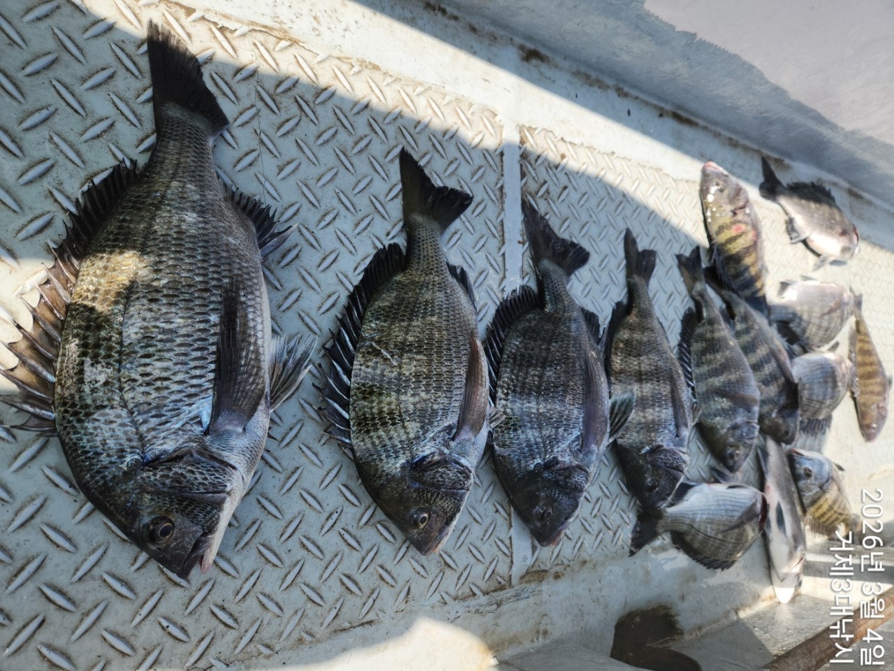 ����ڰ� �ø� �̹���