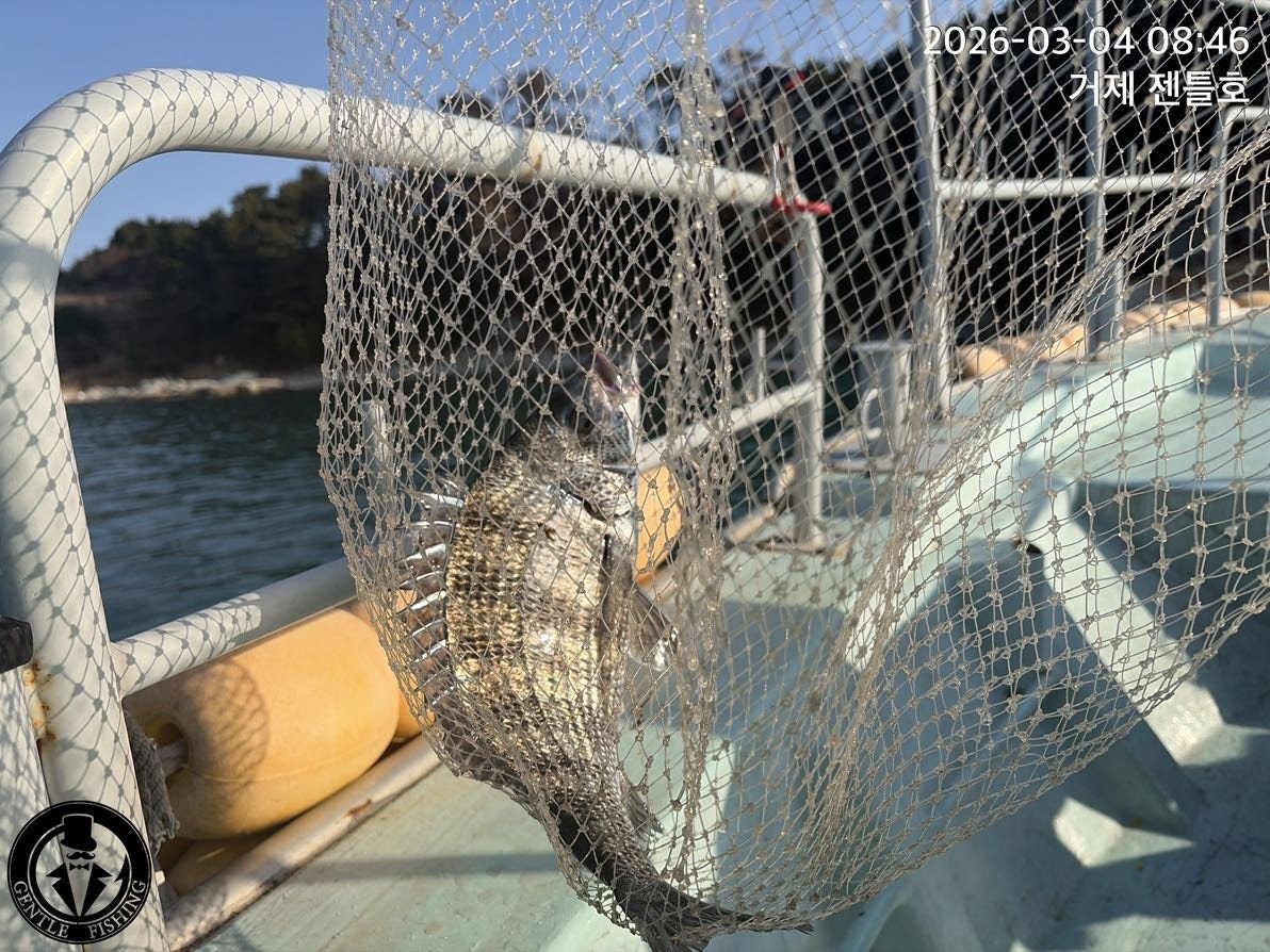 ����ڰ� �ø� �̹���