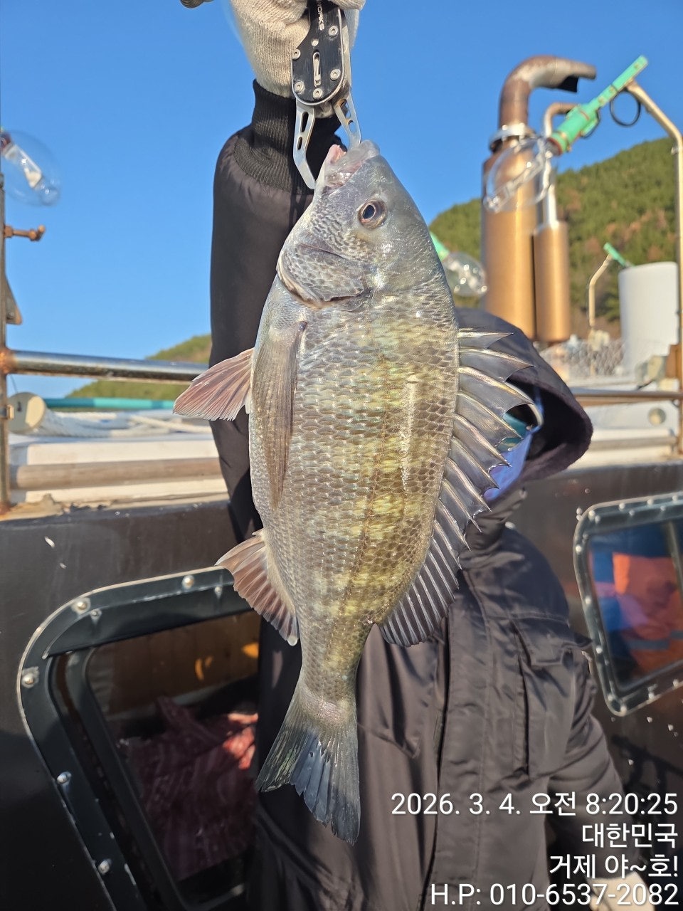 ����ڰ� �ø� �̹���