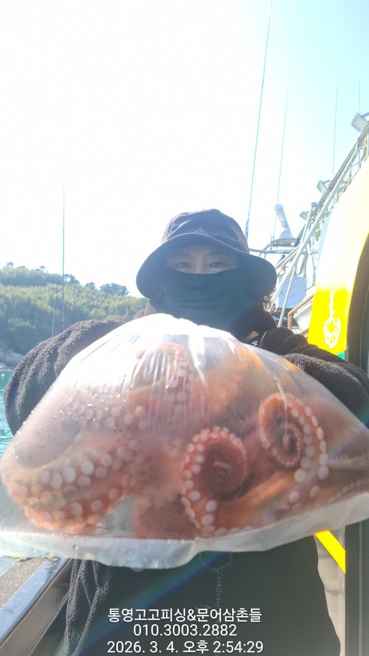 ����ڰ� �ø� �̹���