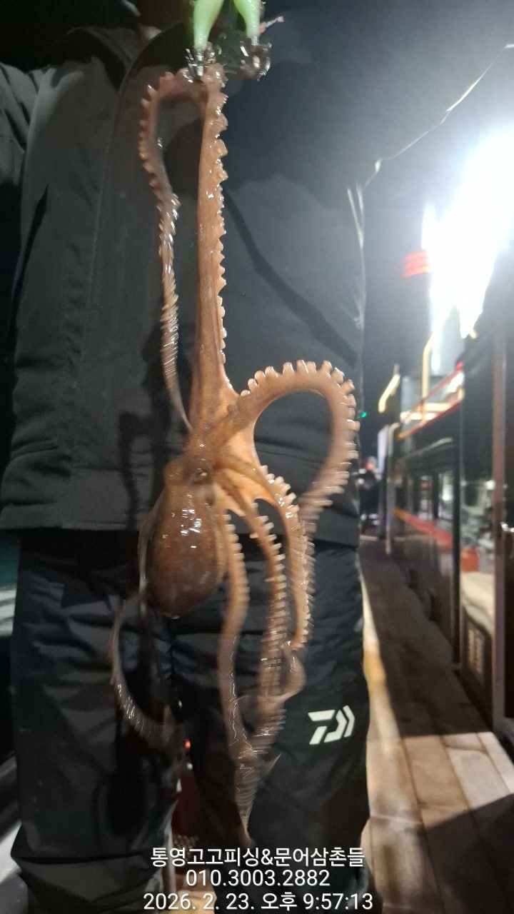 ����ڰ� �ø� �̹���