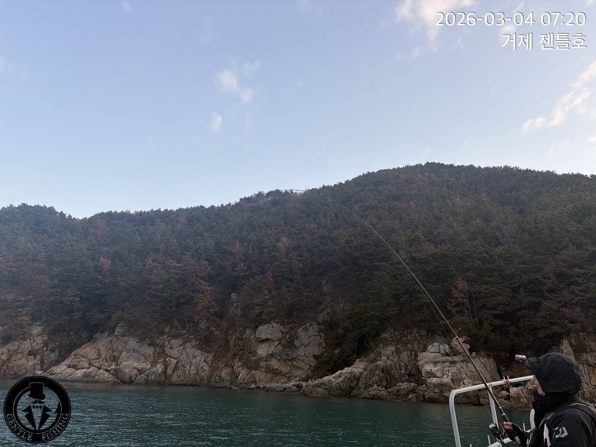 ����ڰ� �ø� �̹���