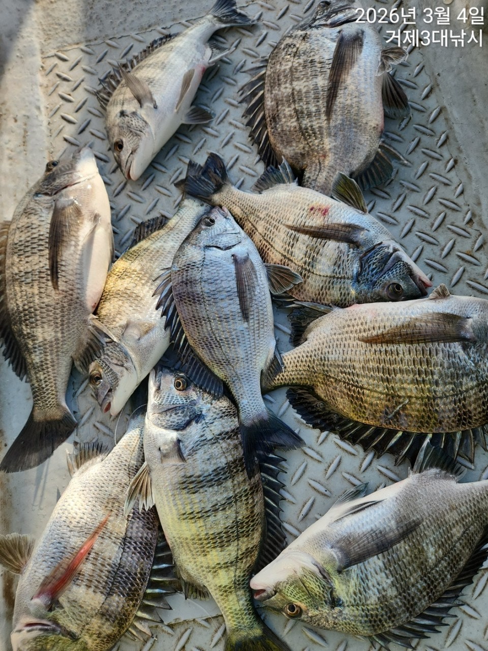 ����ڰ� �ø� �̹���