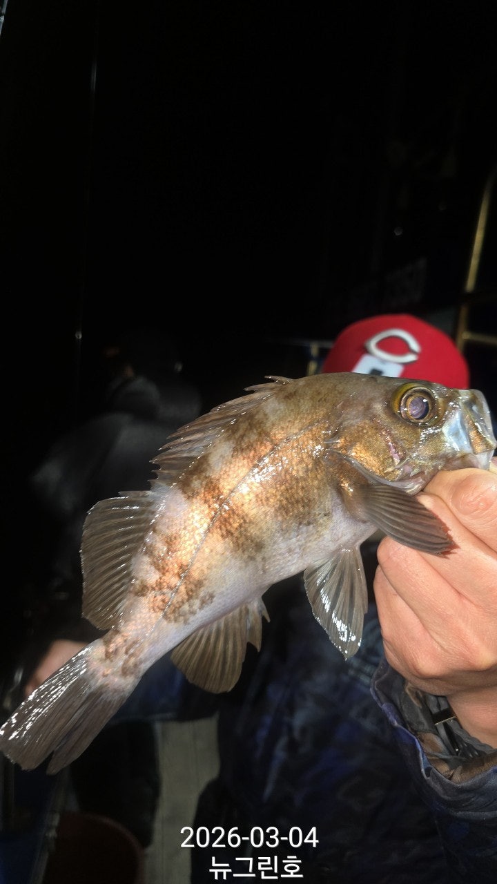 ����ڰ� �ø� �̹���