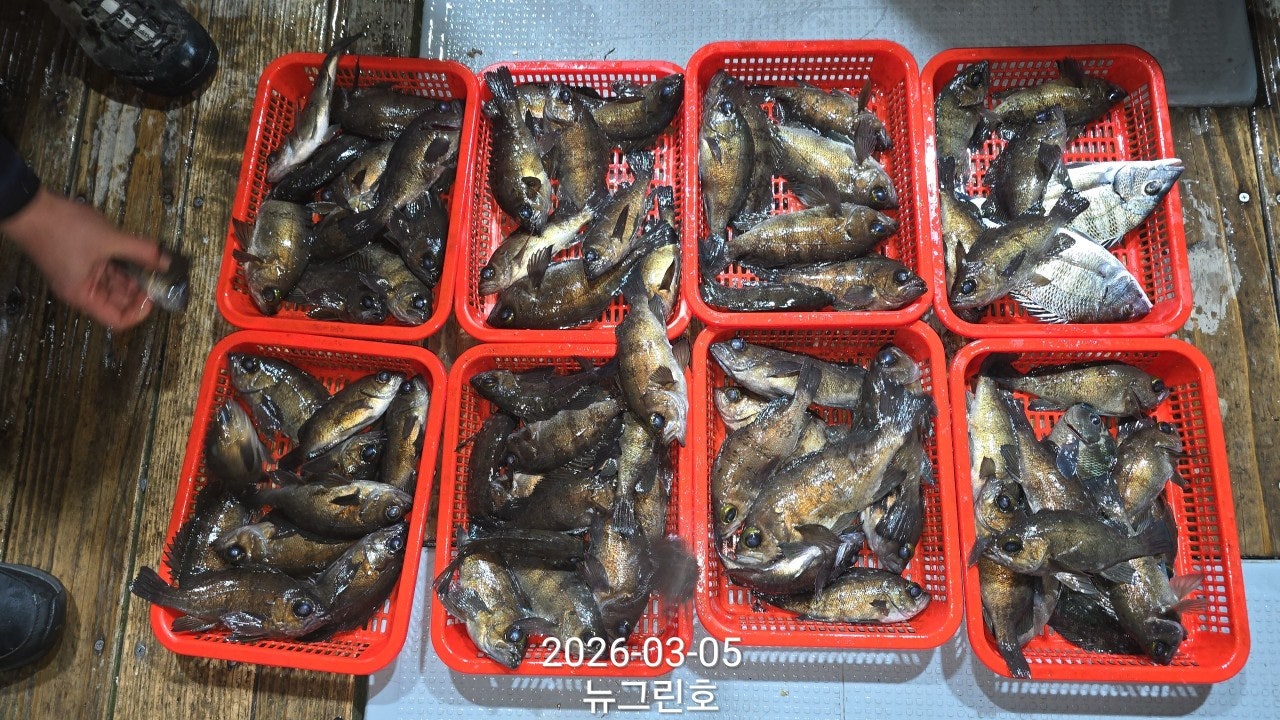 ����ڰ� �ø� �̹���