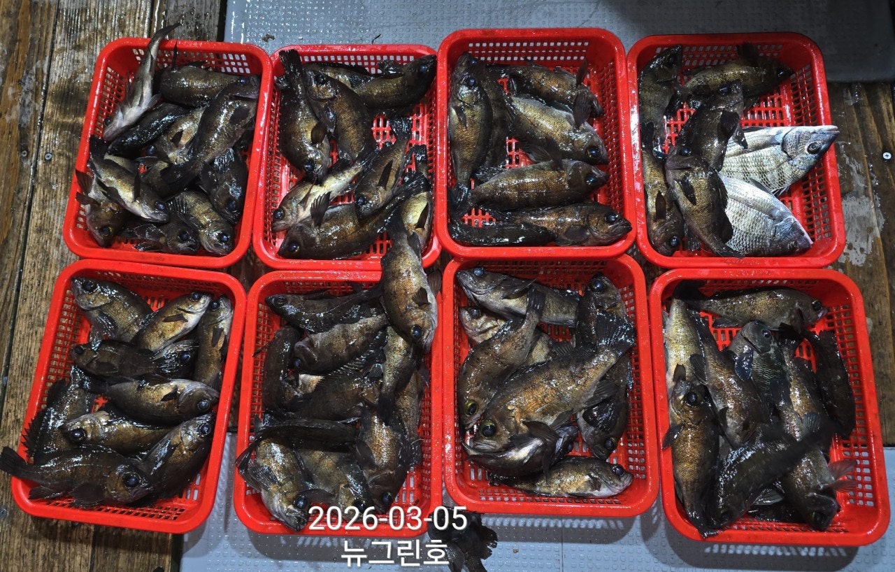 ����ڰ� �ø� �̹���