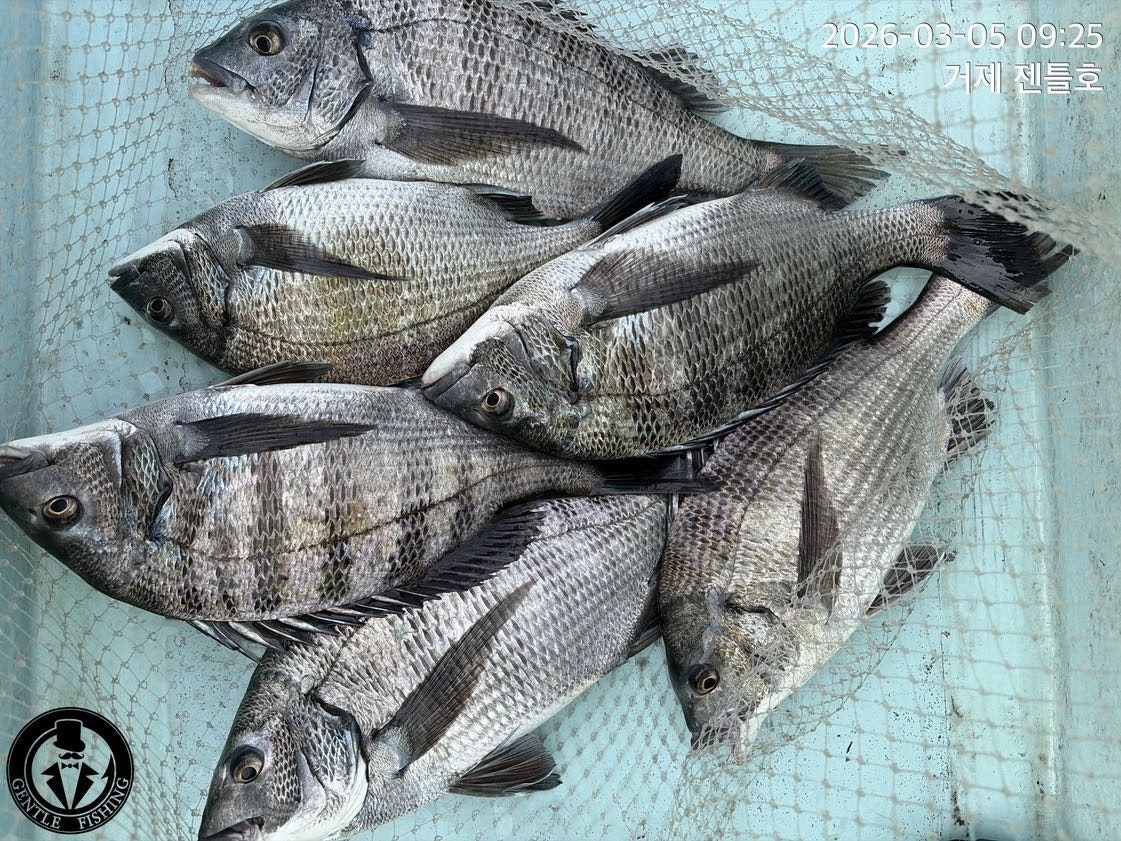 ����ڰ� �ø� �̹���