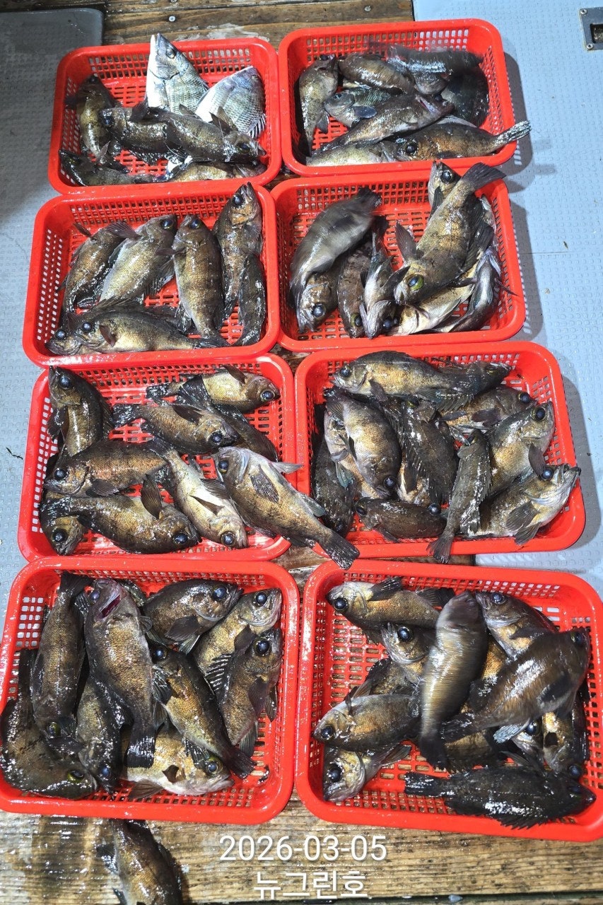 ����ڰ� �ø� �̹���