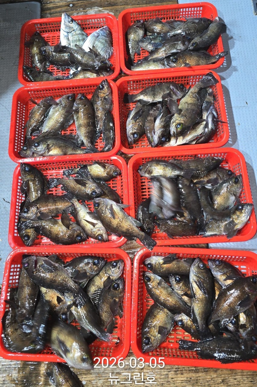 ����ڰ� �ø� �̹���