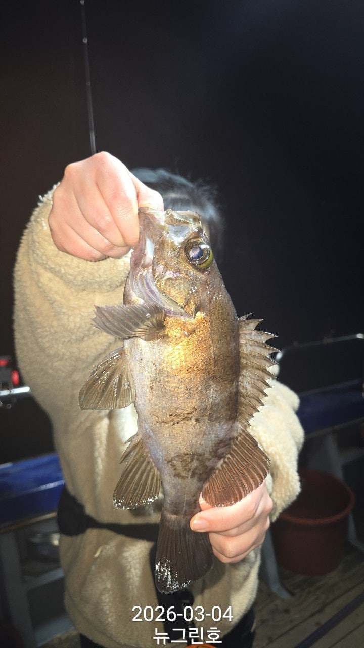 ����ڰ� �ø� �̹���