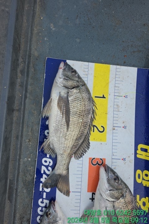 ����ڰ� �ø� �̹���