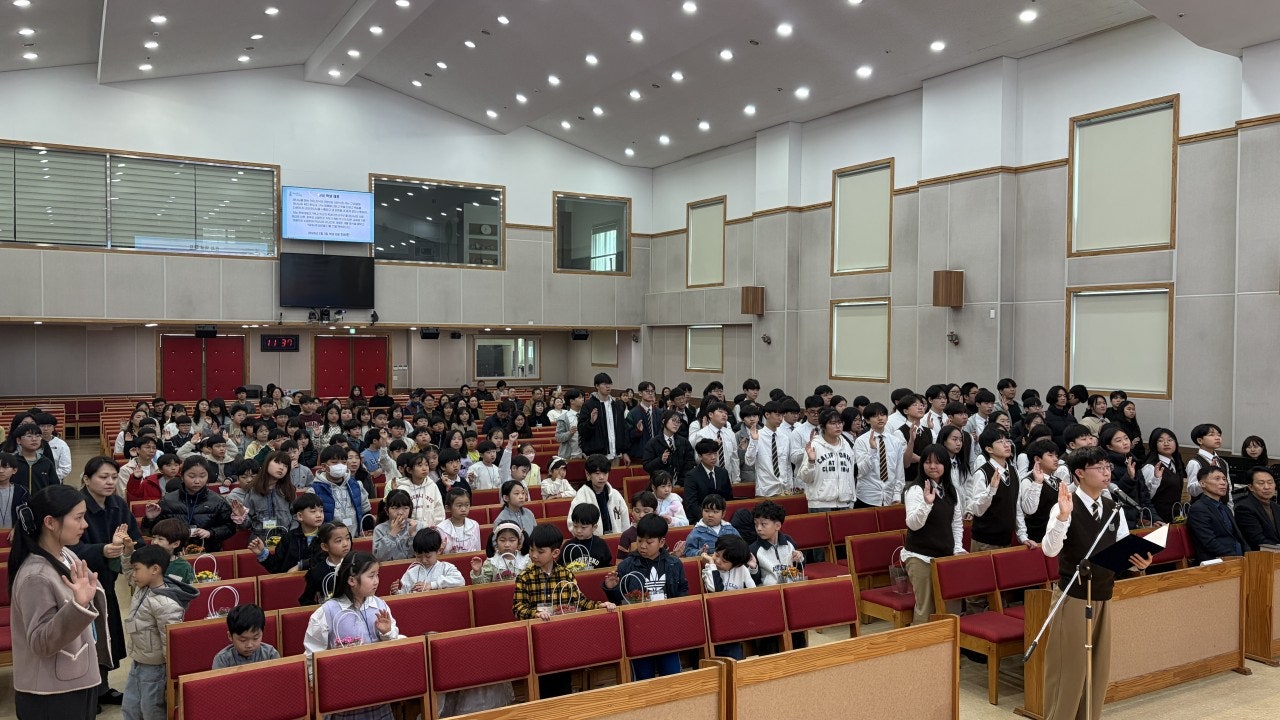 ����ڰ� �ø� �̹���