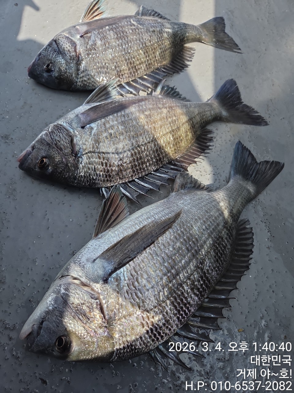 ����ڰ� �ø� �̹���