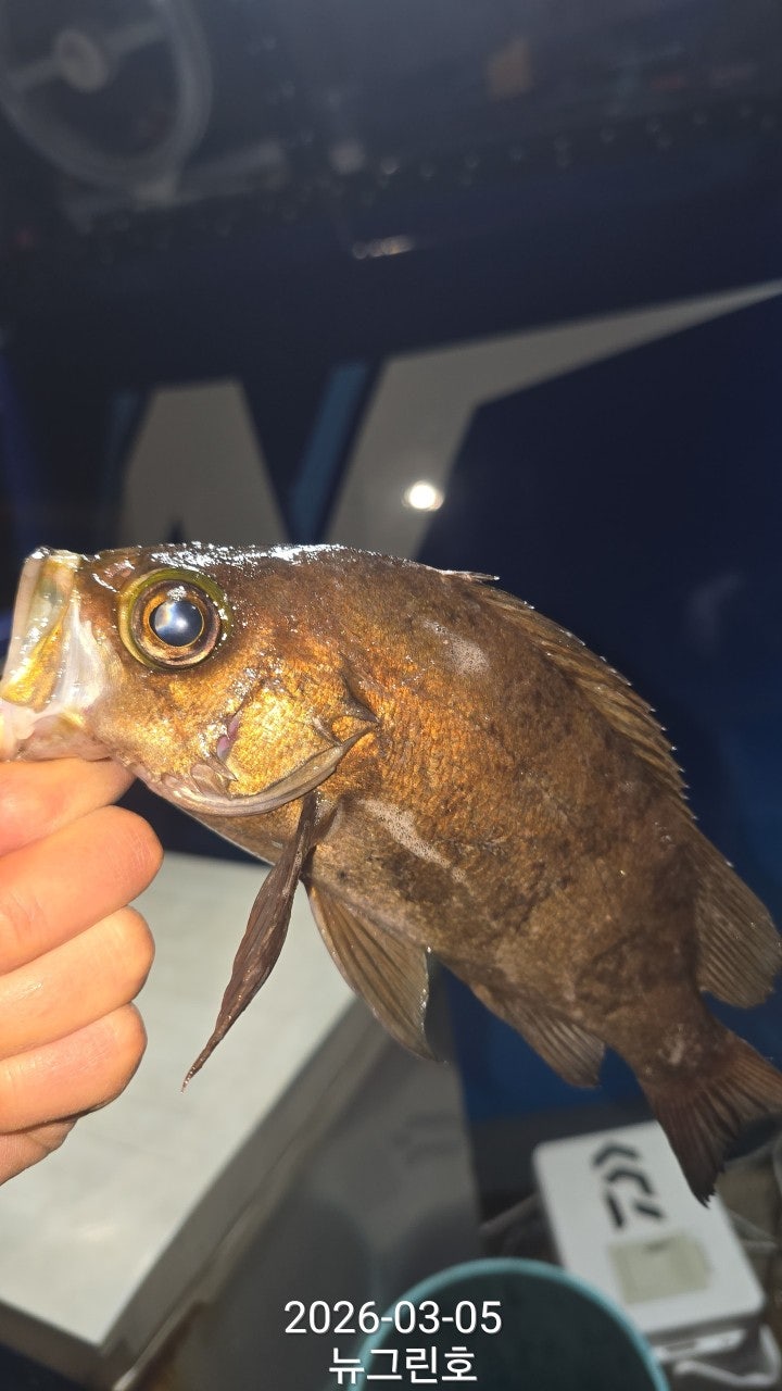 ����ڰ� �ø� �̹���