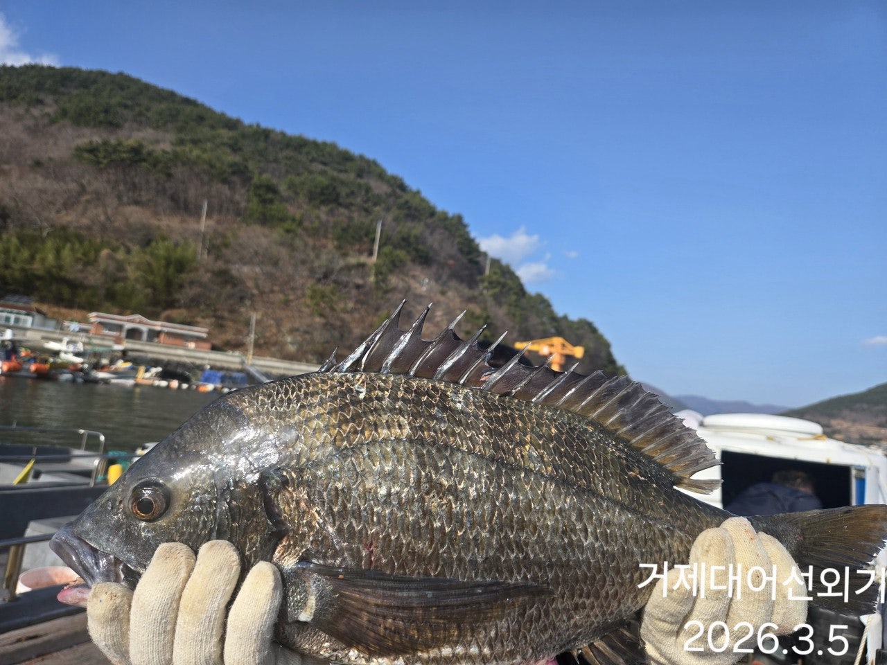 ����ڰ� �ø� �̹���