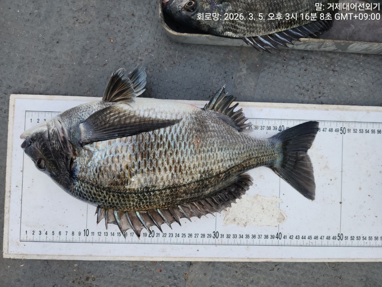 ����ڰ� �ø� �̹���