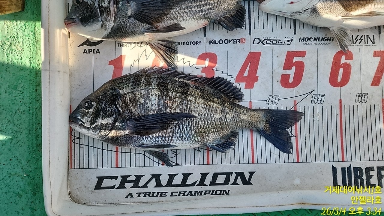 ����ڰ� �ø� �̹���