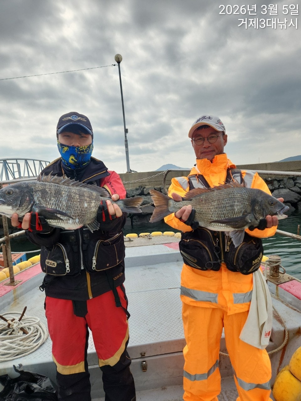 ����ڰ� �ø� �̹���