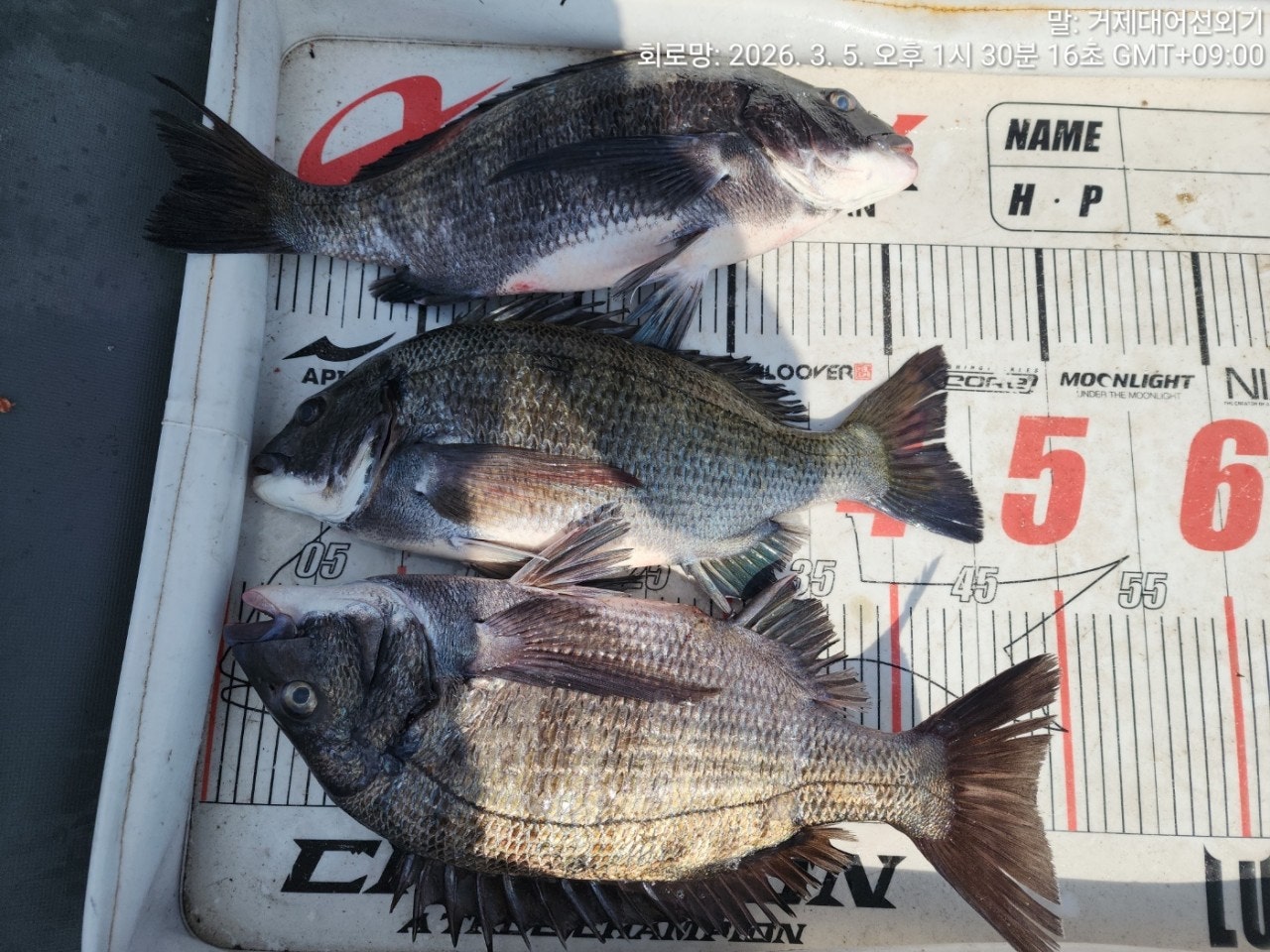 ����ڰ� �ø� �̹���