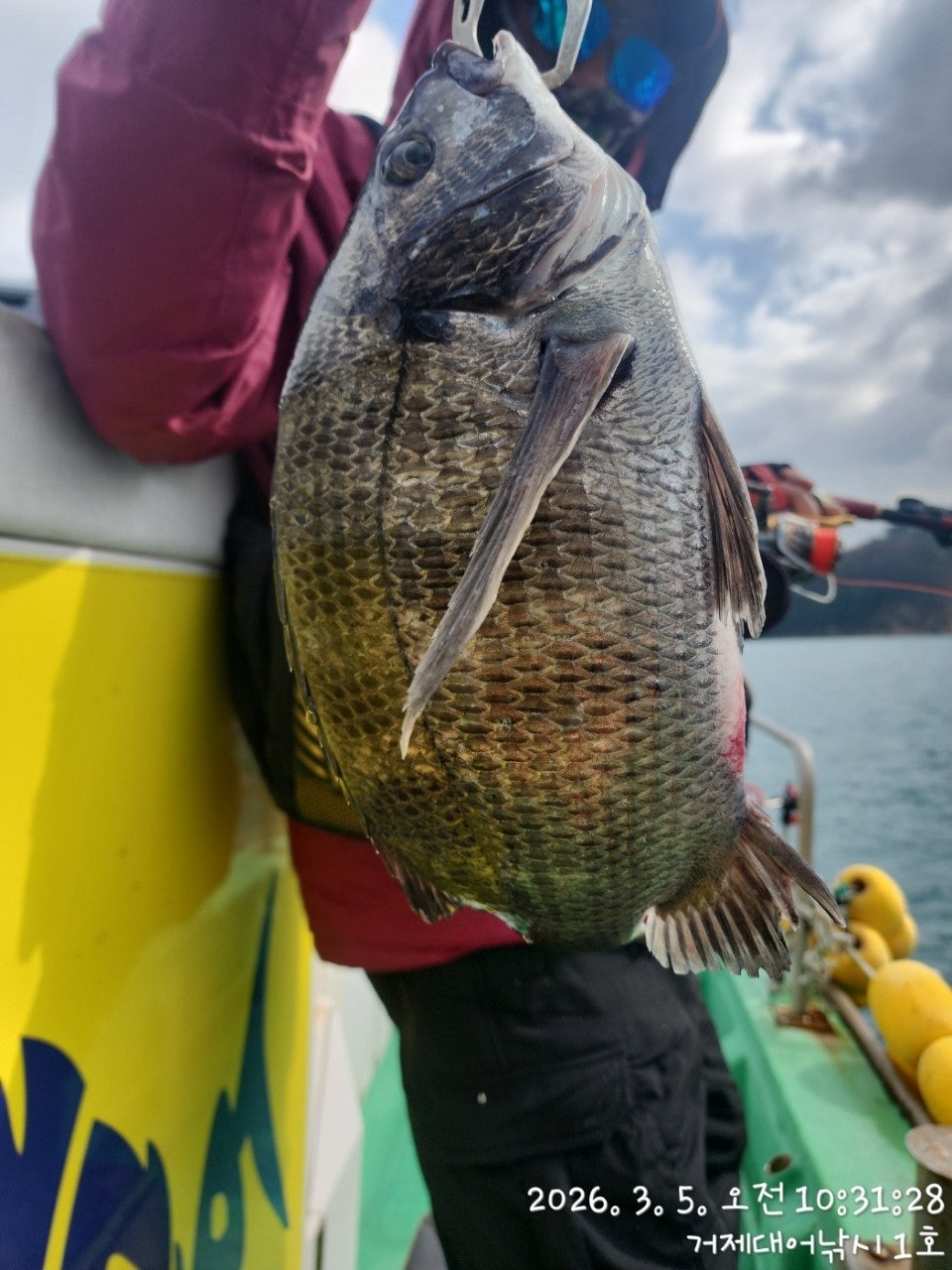 ����ڰ� �ø� �̹���