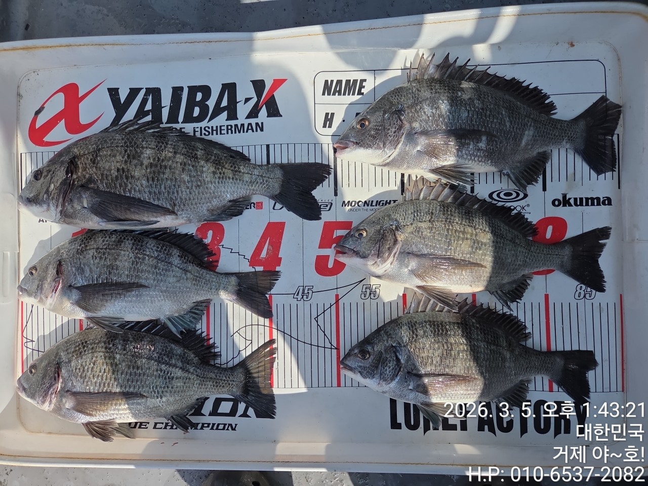 ����ڰ� �ø� �̹���