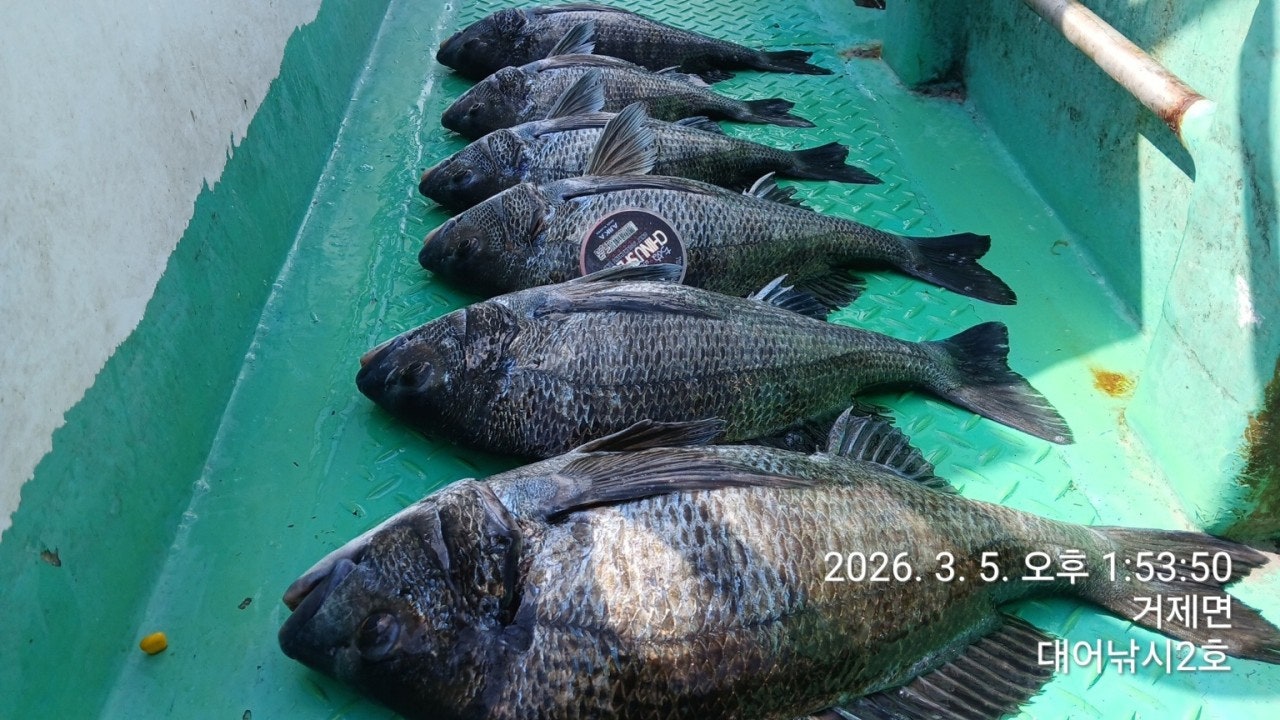 ����ڰ� �ø� �̹���