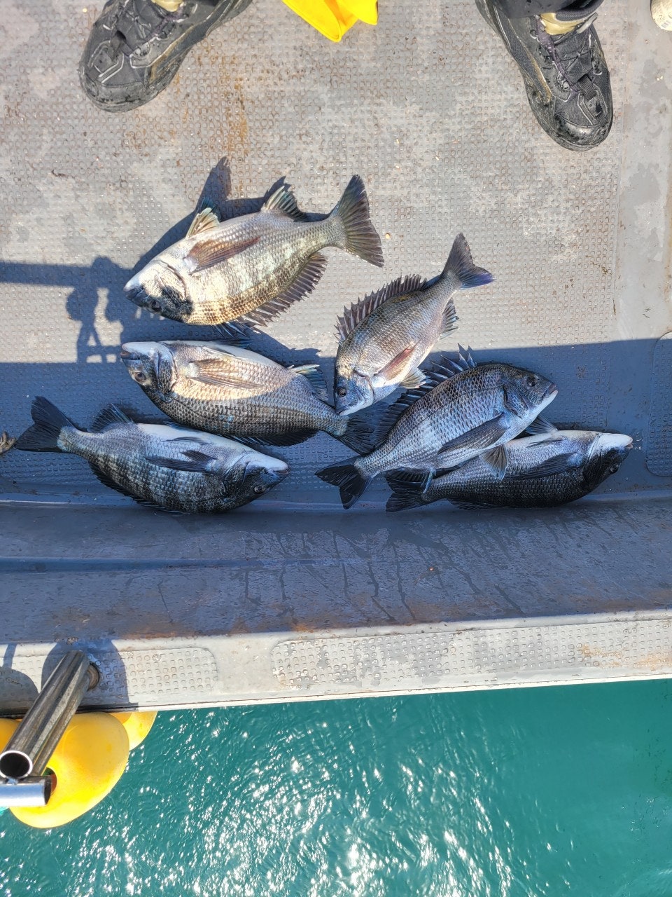 ����ڰ� �ø� �̹���