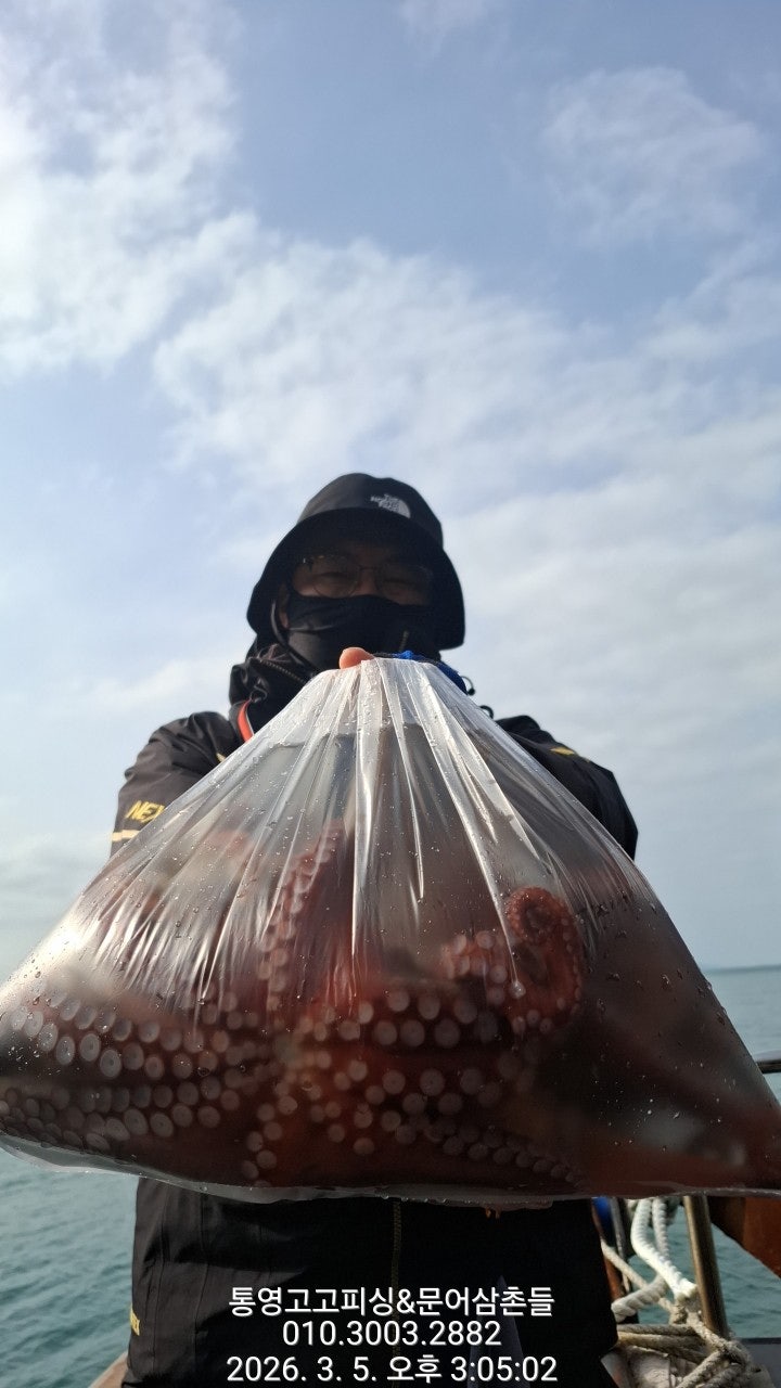 ����ڰ� �ø� �̹���