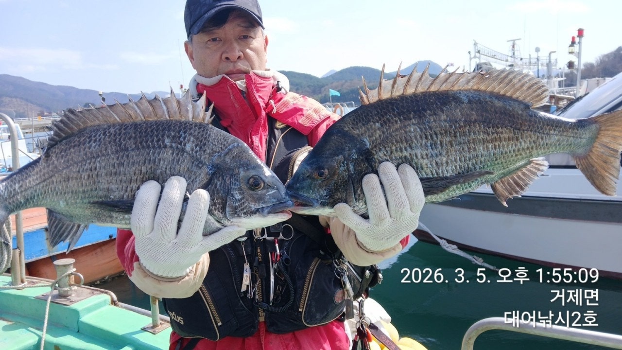 ����ڰ� �ø� �̹���