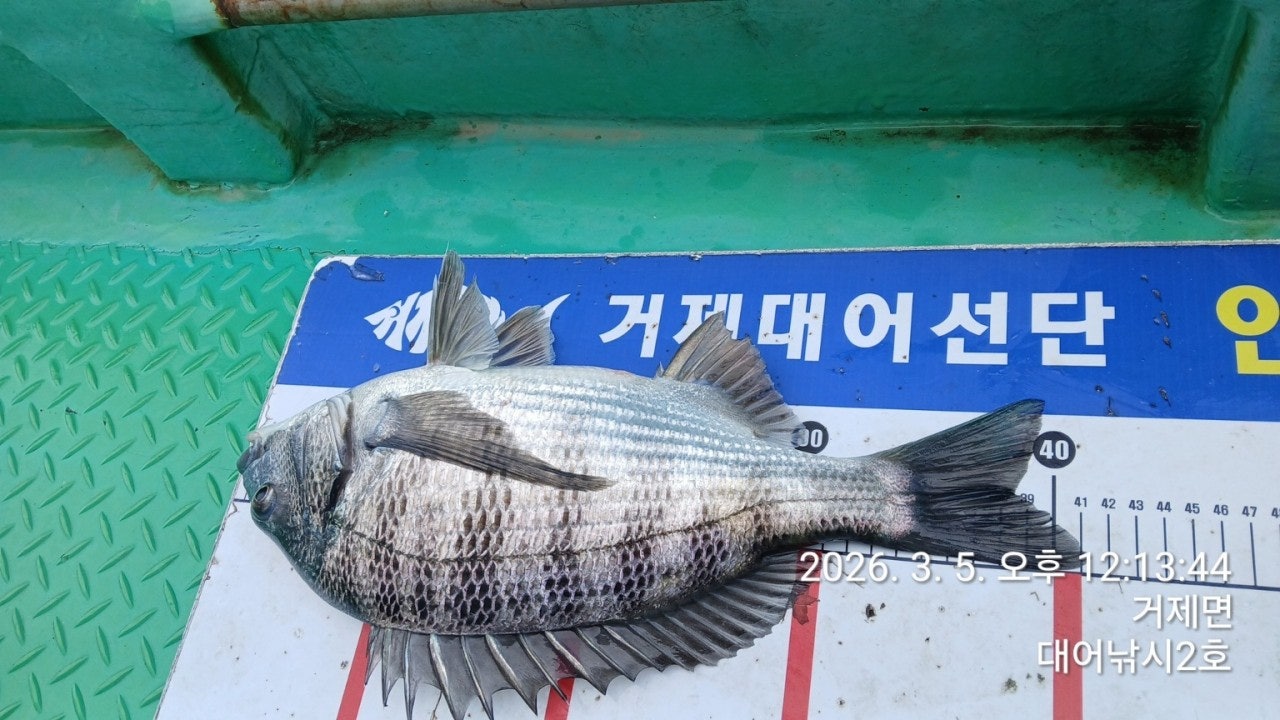 ����ڰ� �ø� �̹���