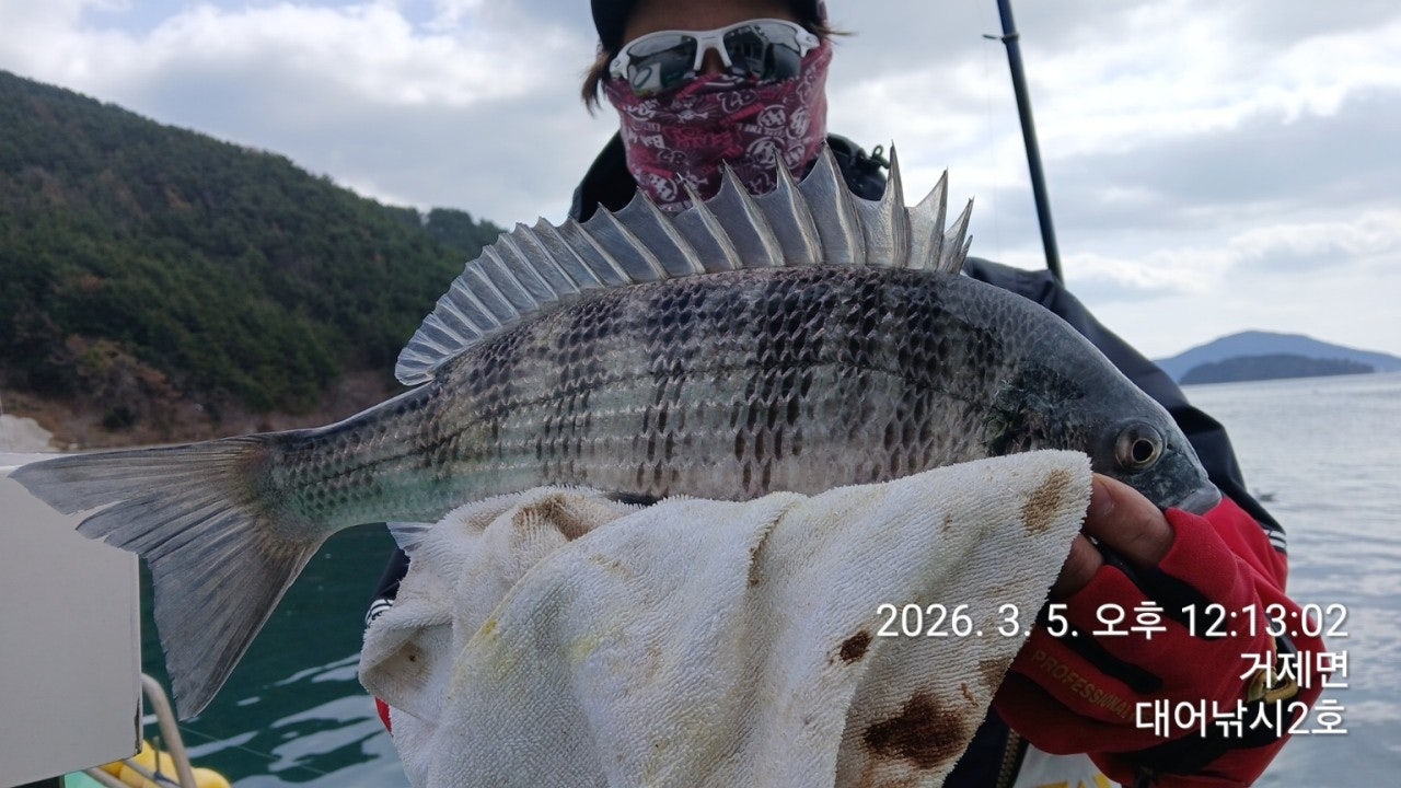 ����ڰ� �ø� �̹���