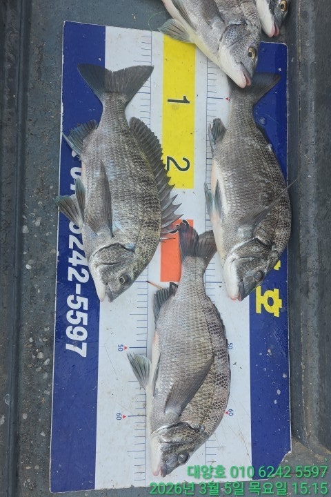 ����ڰ� �ø� �̹���