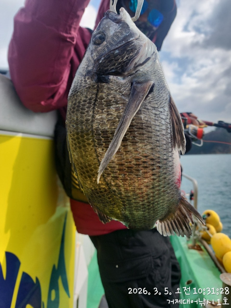 ����ڰ� �ø� �̹���