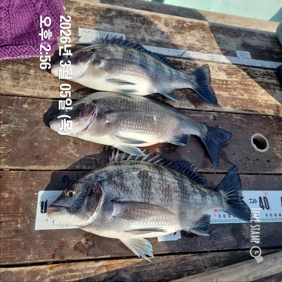 ����ڰ� �ø� �̹���