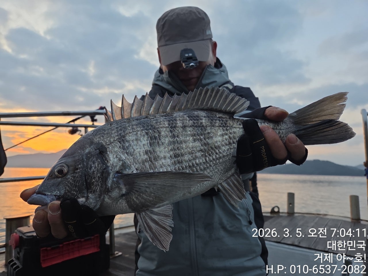 ����ڰ� �ø� �̹���