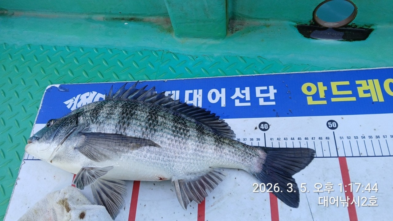 ����ڰ� �ø� �̹���