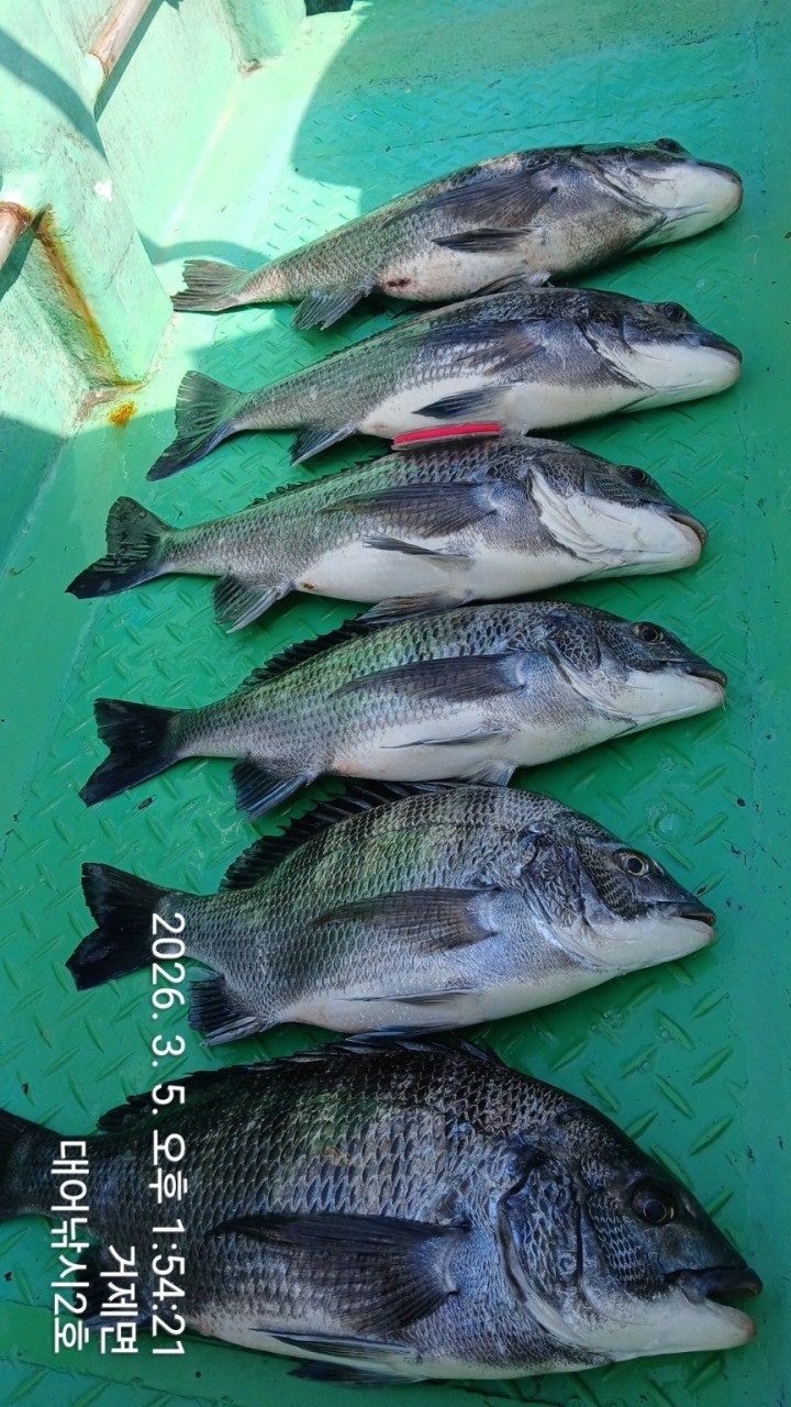 ����ڰ� �ø� �̹���