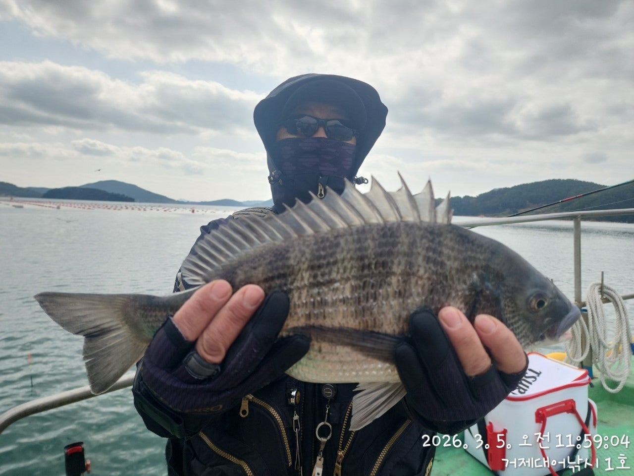 ����ڰ� �ø� �̹���