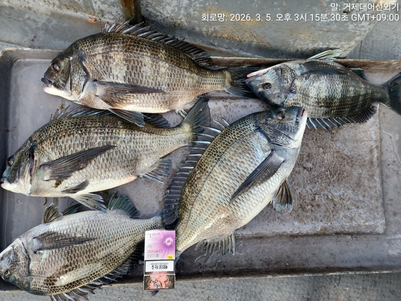 ����ڰ� �ø� �̹���