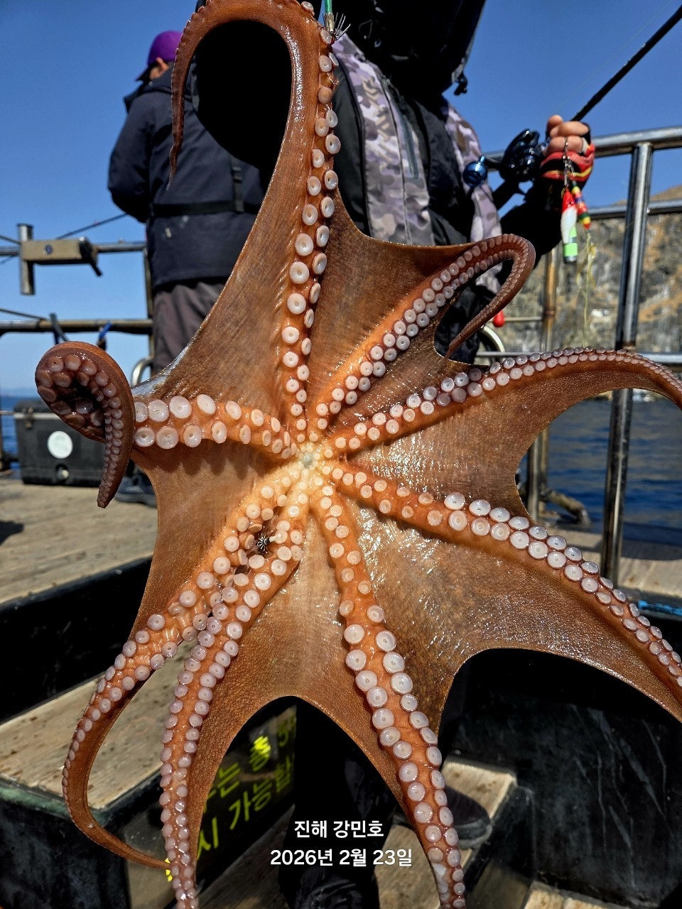 ����ڰ� �ø� �̹���