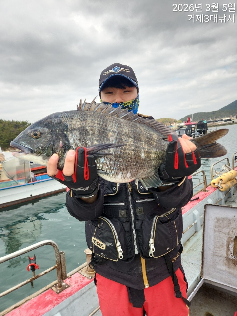 ����ڰ� �ø� �̹���