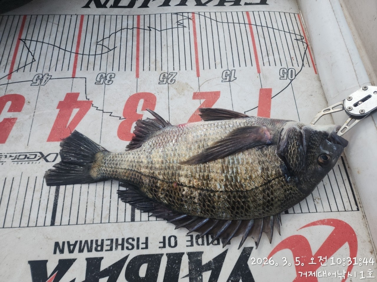 ����ڰ� �ø� �̹���