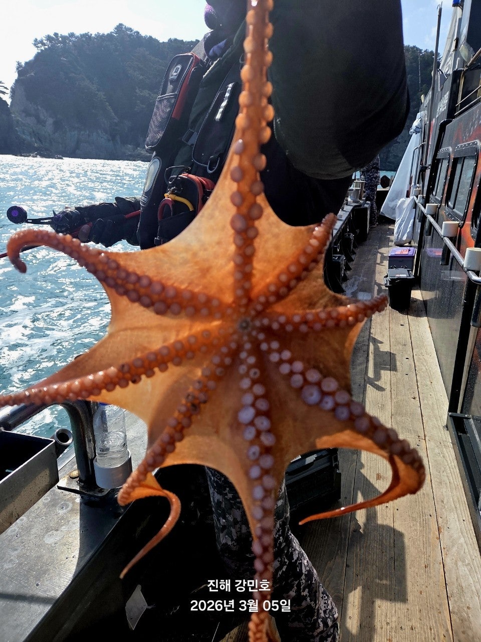 ����ڰ� �ø� �̹���