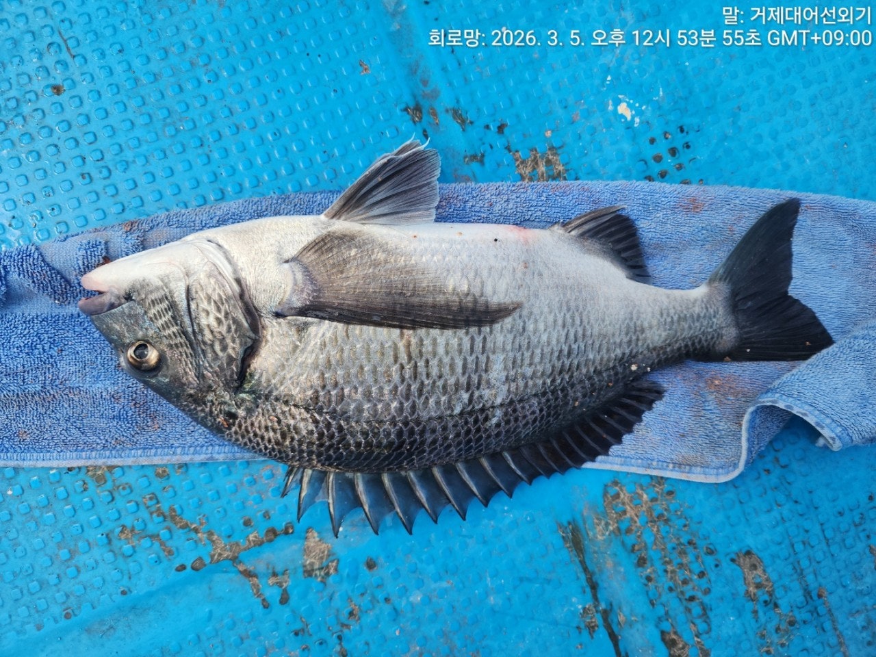 ����ڰ� �ø� �̹���