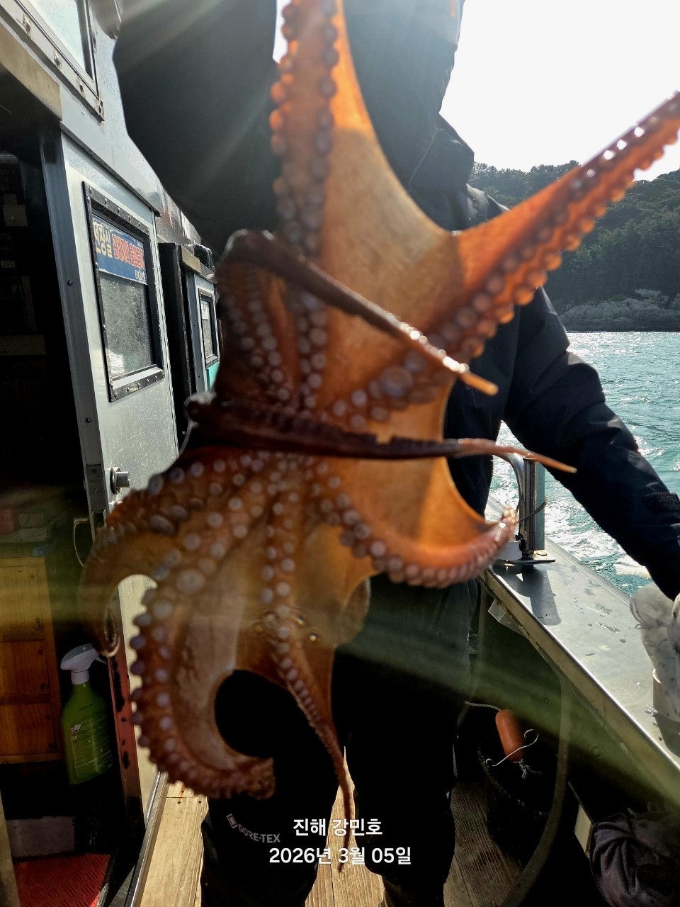 ����ڰ� �ø� �̹���